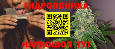 крисы Белореченск