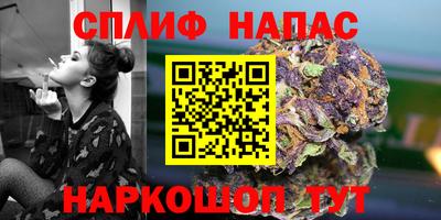 мяу мяу мука Бердск